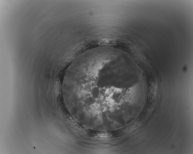 X0000112820659200908281532