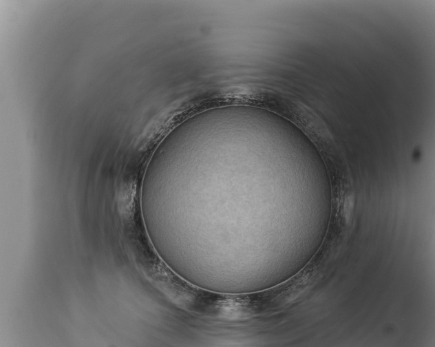 X0000112820660200908281532