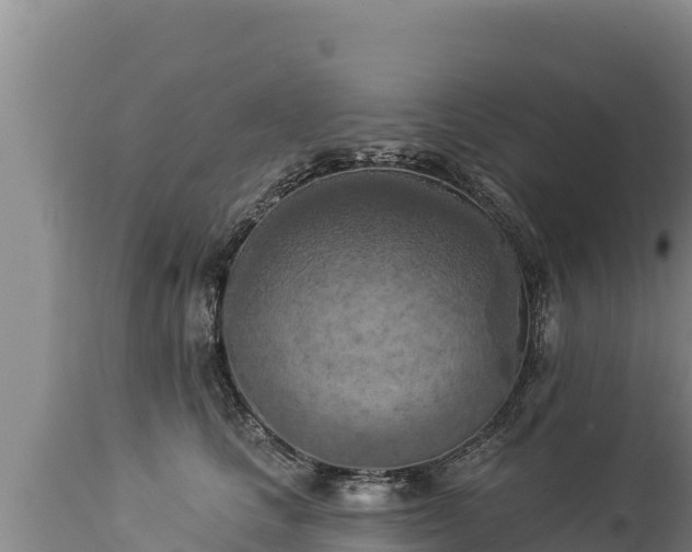 X0000112820661200908281532