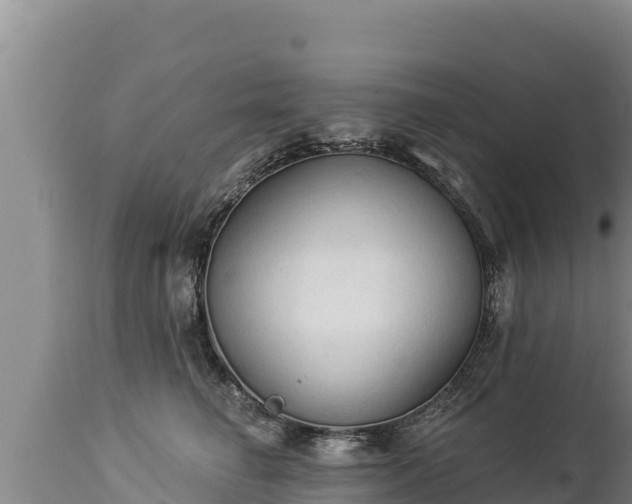 X0000112820662200908281532