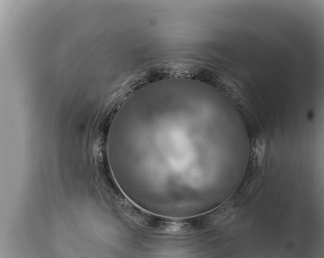 X0000112820663200908281532