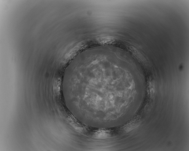 X0000112820664200908281532