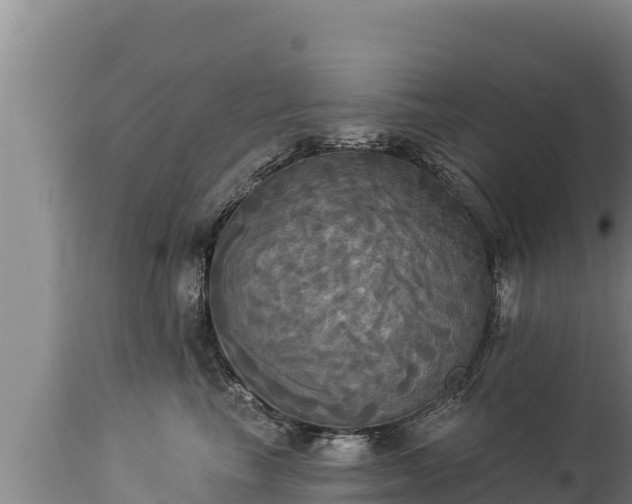 X0000112820665200908281532