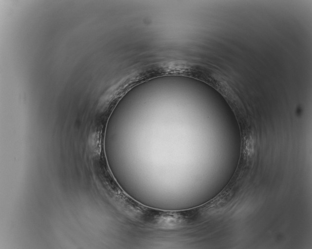 X0000112820666200908281532