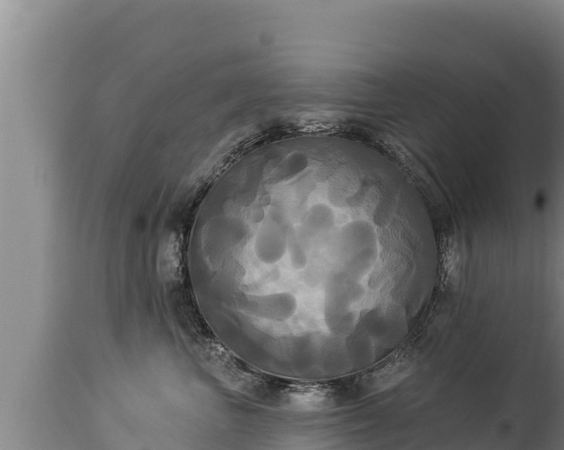 X0000112820667200908281532