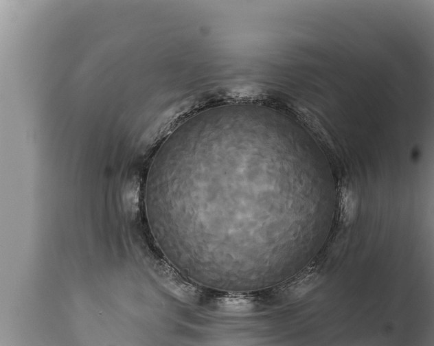 X0000112820668200908281532