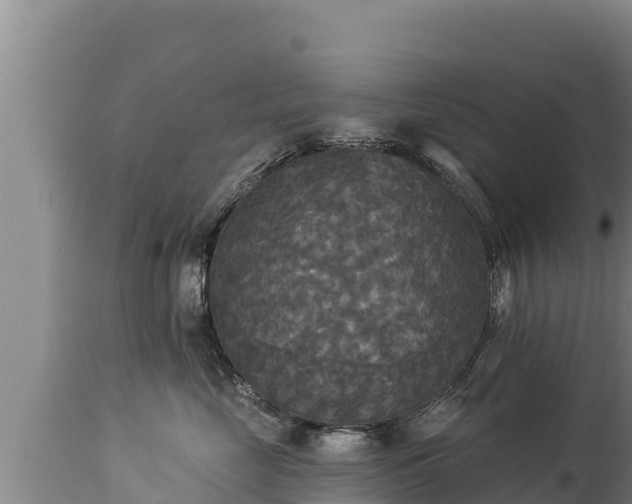 X0000112820669200908281532