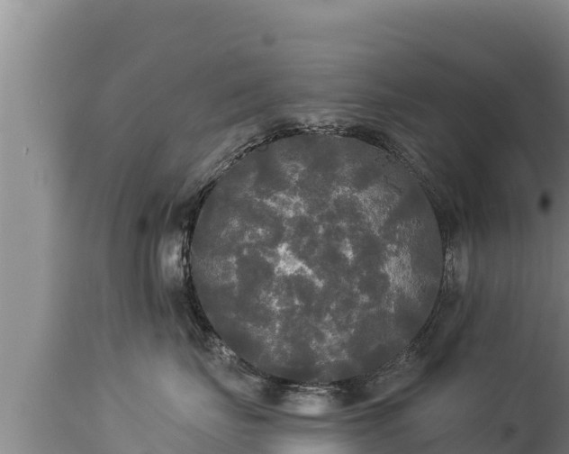 X0000112820671200908281532