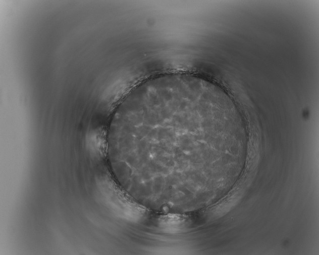 X0000112820672200908281532