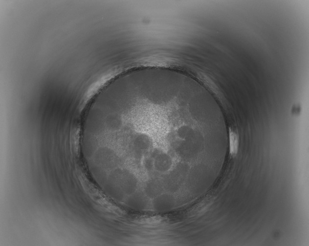 X0000112820675200908281531