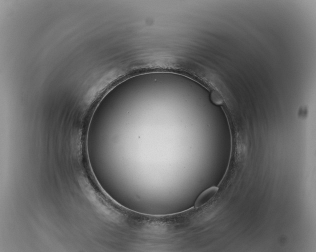 X0000112820677200908281531