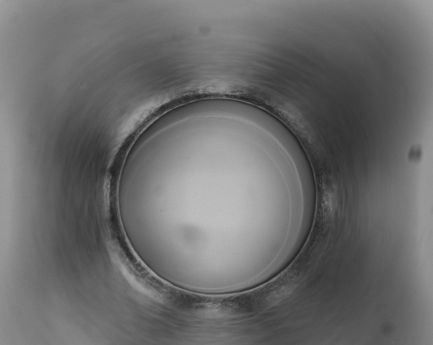 X0000112820678200908281531