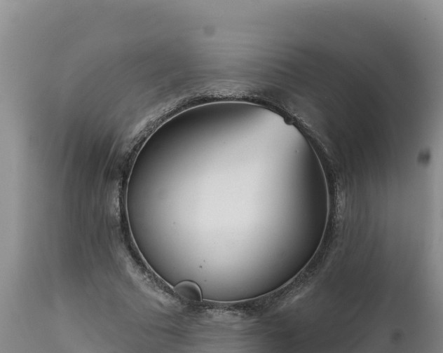 X0000112820681200908281531