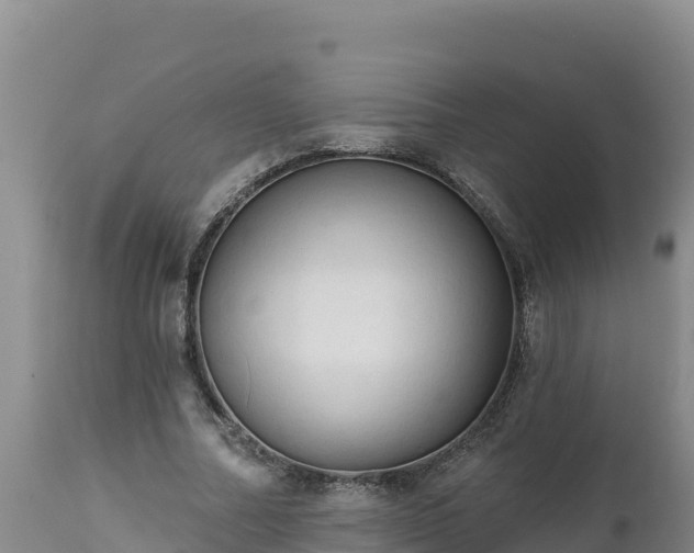 X0000112820682200908281531