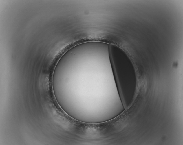 X0000112820684200908281531