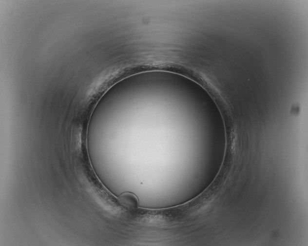 X0000112820685200908281531