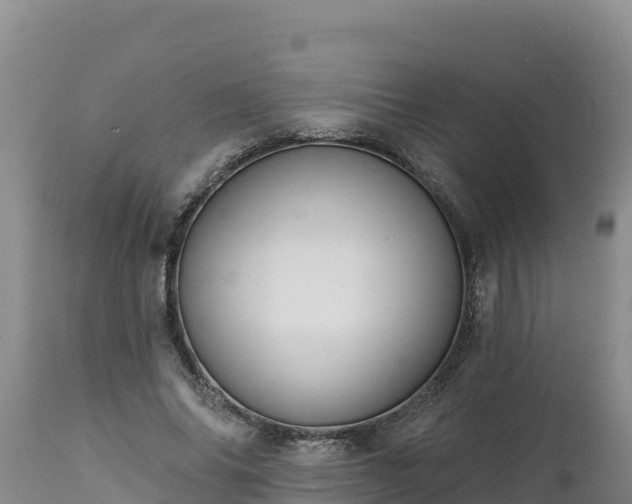 X0000112820686200908281531