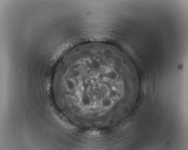 X0000112820687200908281531