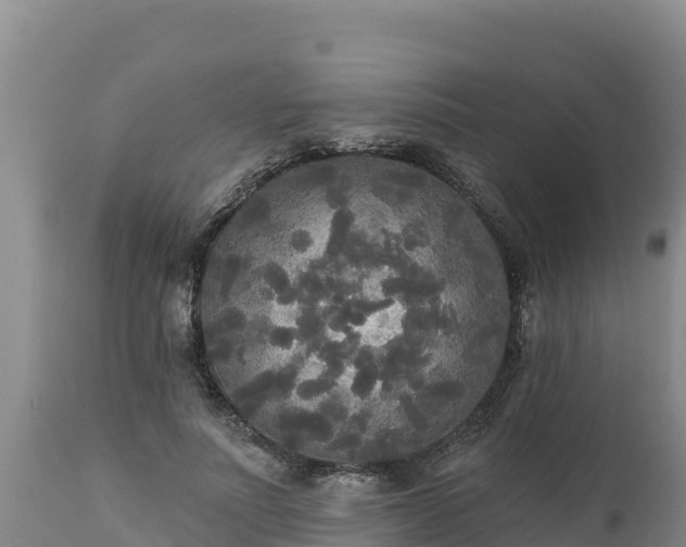 X0000112820691200908281531