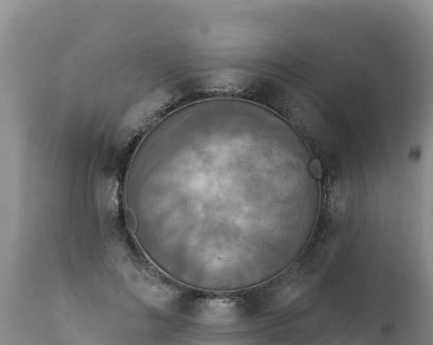 X0000112820692200908281531