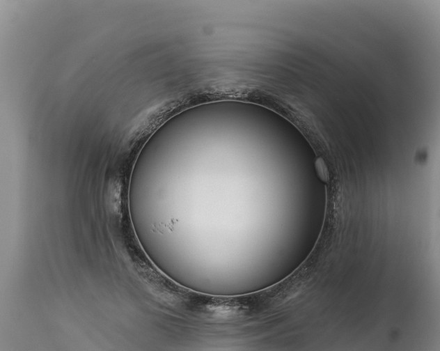 X0000112820693200908281531