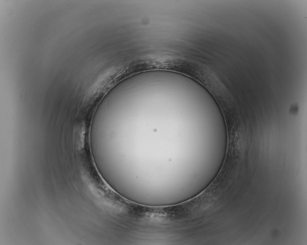 X0000112820694200908281531