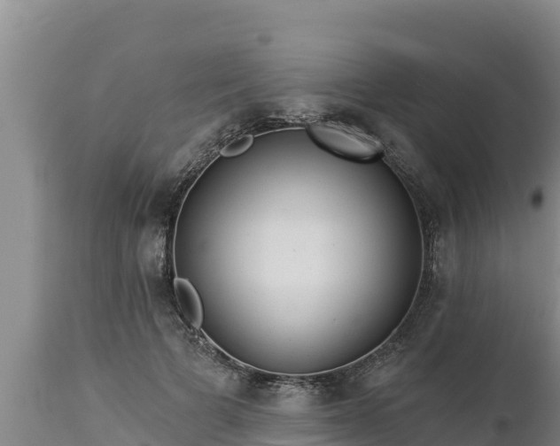 X0000112820697200908281531