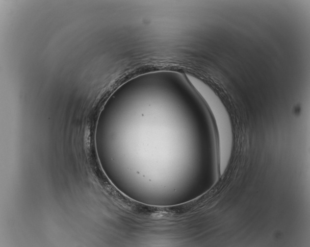 X0000112820700200908281531