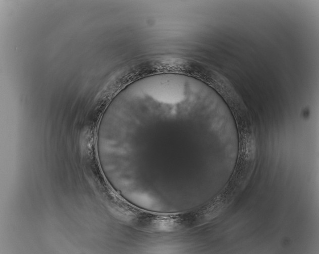 X0000112820701200908281531