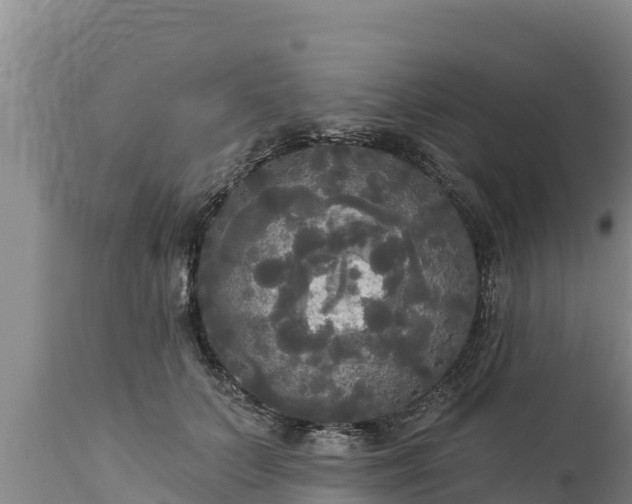X0000112820703200908281531
