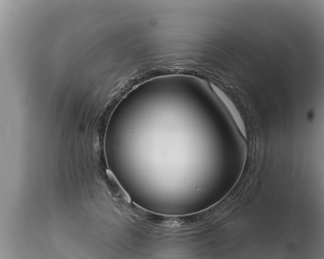 X0000112820704200908281531