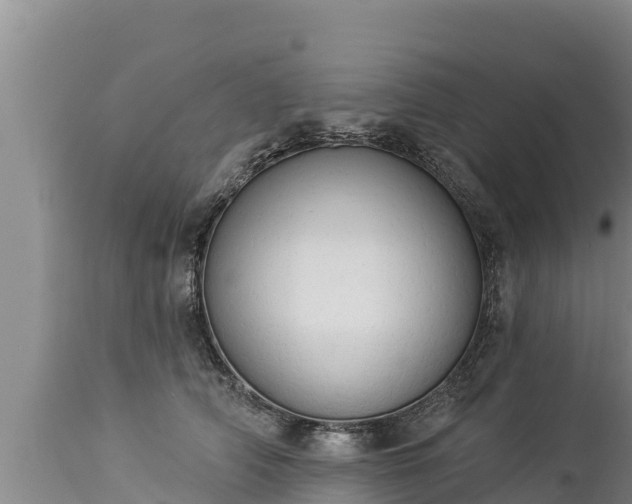 X0000112820706200908281531