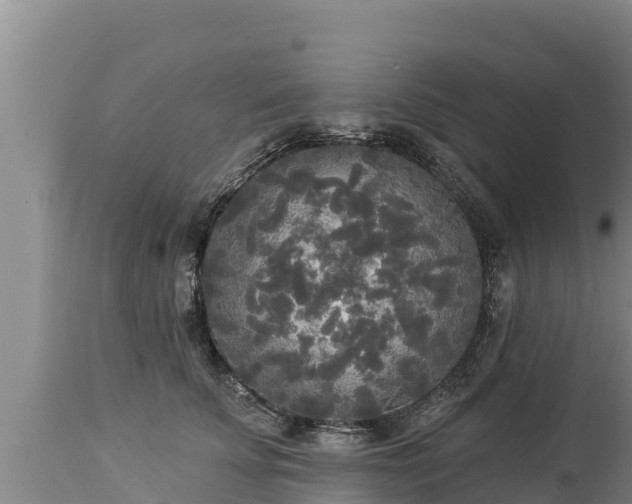 X0000112820707200908281531