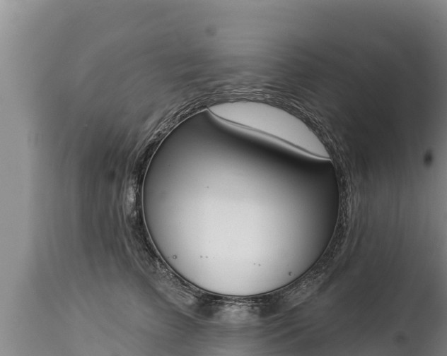 X0000112820709200908281531