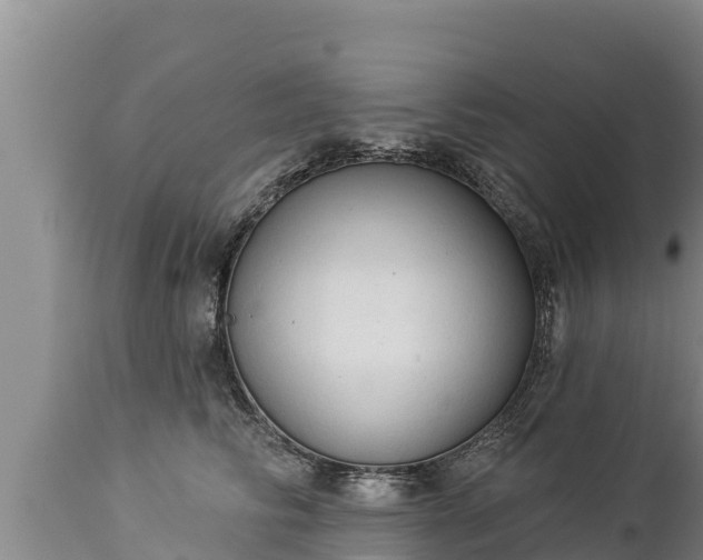 X0000112820710200908281531