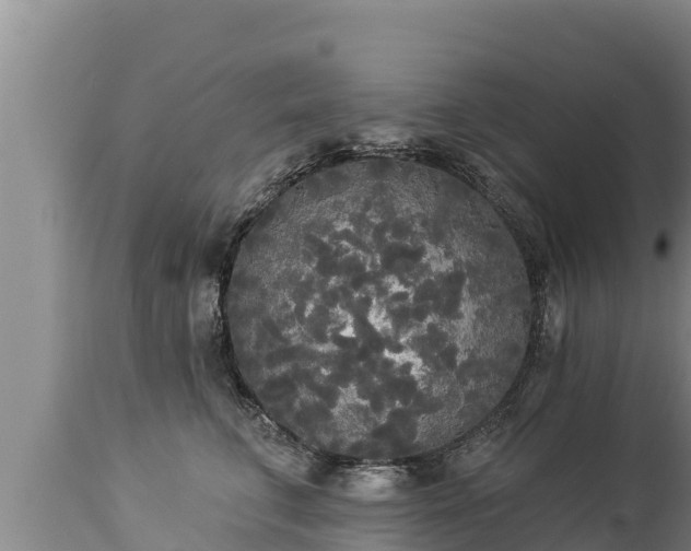 X0000112820711200908281531