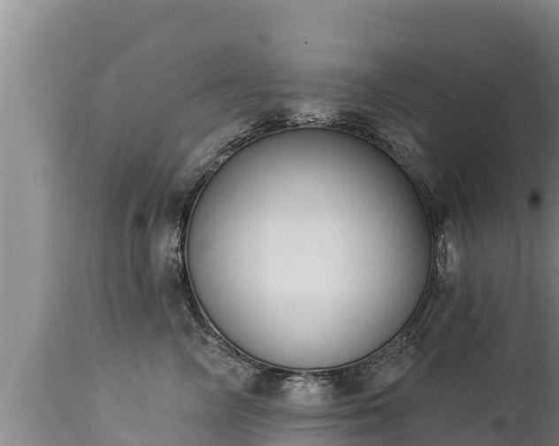 X0000112820714200908281531