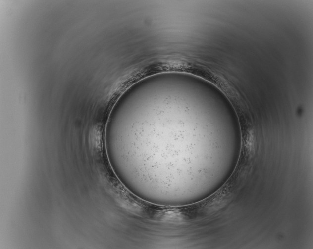 X0000112820715200908281531