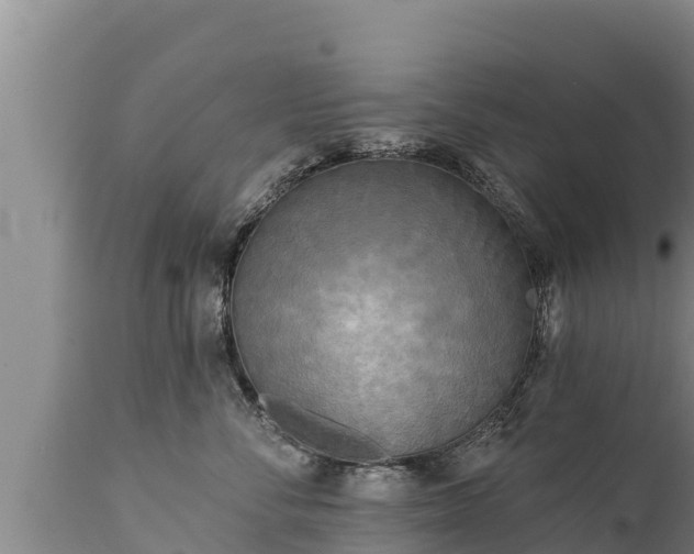 X0000112820716200908281531