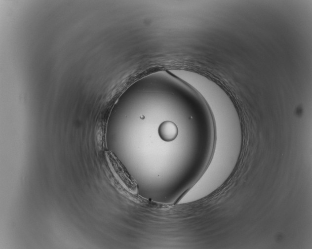 X0000112820720200908281531