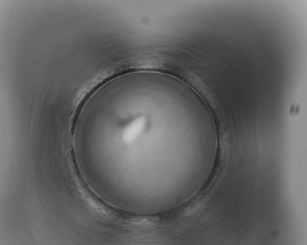 X0000112820721200908281530