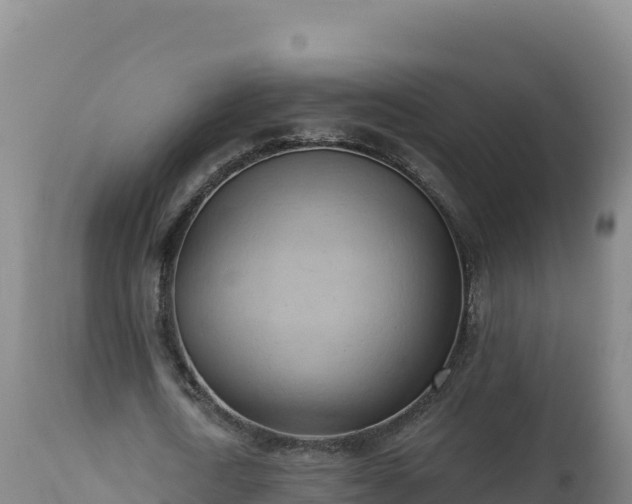X0000112820722200908281530