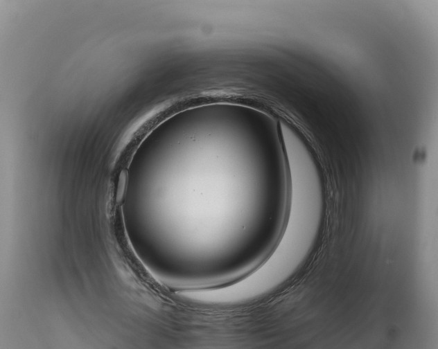 X0000112820724200908281530
