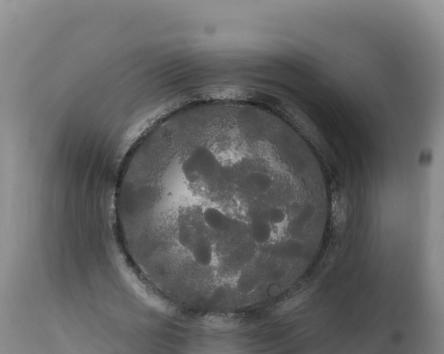 X0000112820725200908281530