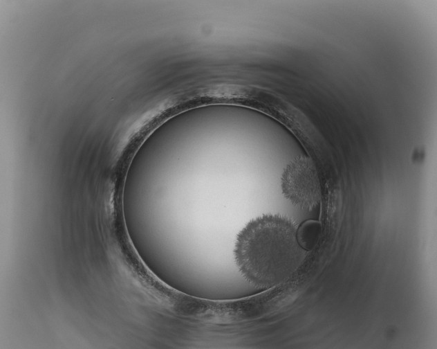 X0000112820727200908281530