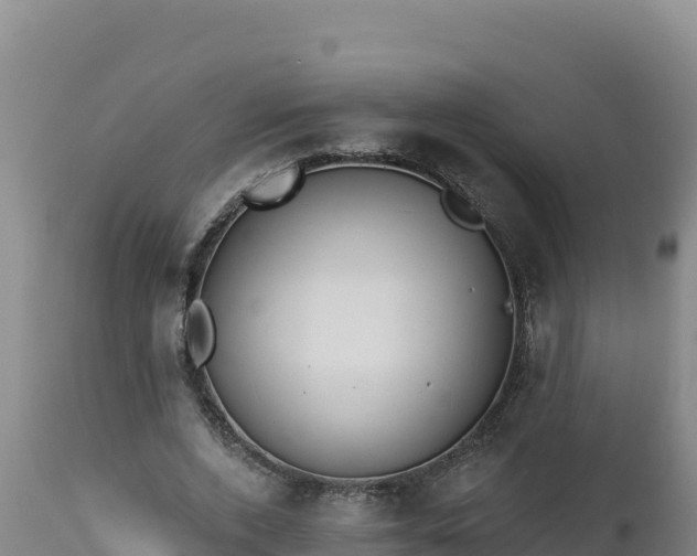 X0000112820728200908281530