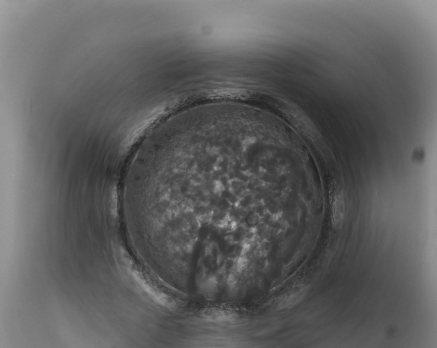 X0000112820729200908281530