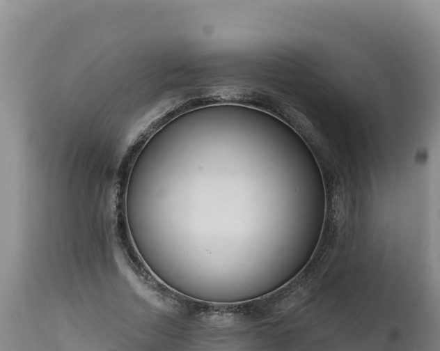 X0000112820730200908281530