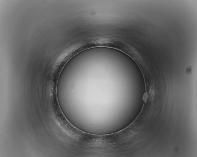 X0000112820732200908281530