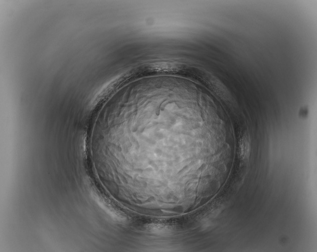 X0000112820733200908281530